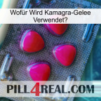Wofür Wird Kamagra-Gelee Verwendet 13